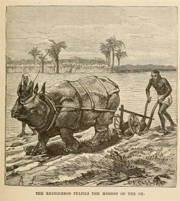 责任编辑：落木