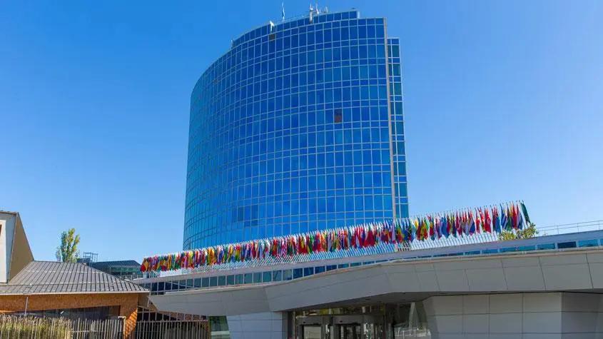 △世界知识产权组织（资料图）央视新闻客户端报道配图