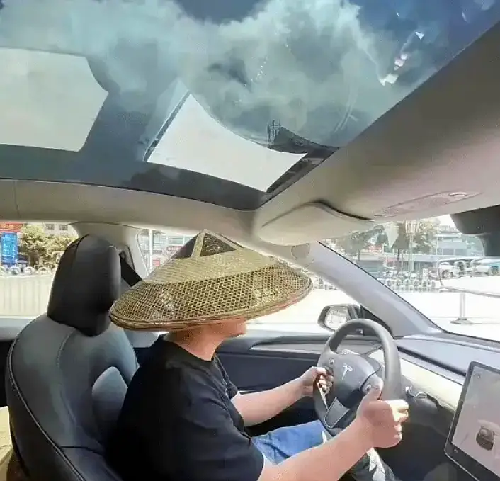 载入史册的电动汽车行为艺术