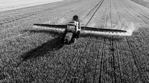 图片来源:Shutterstock