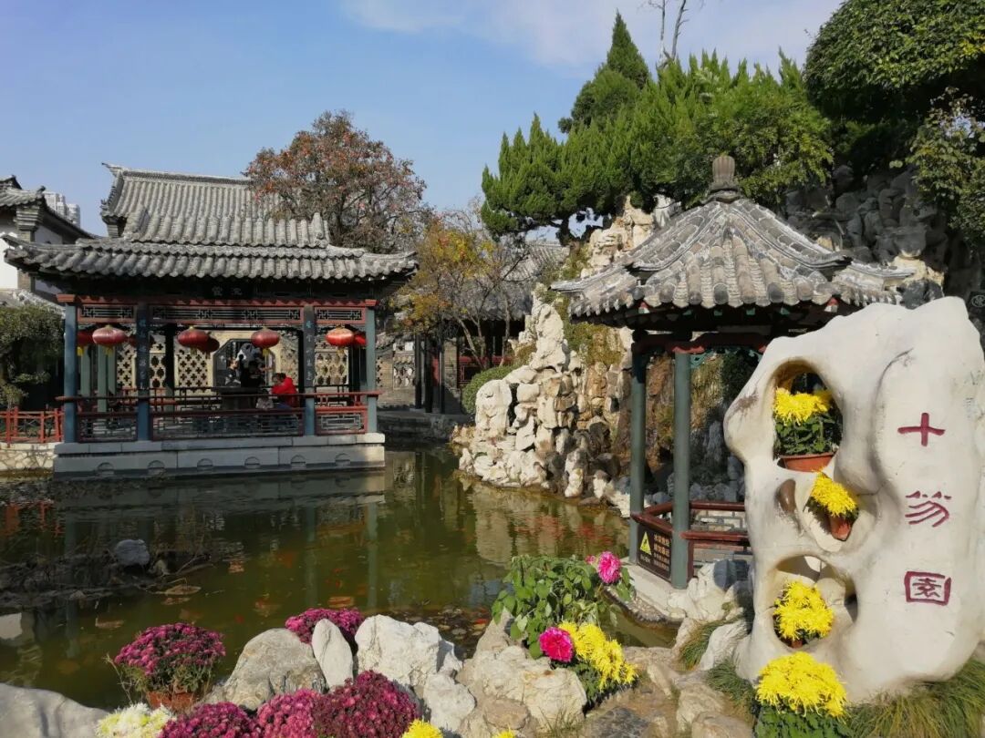 图片来源于网络