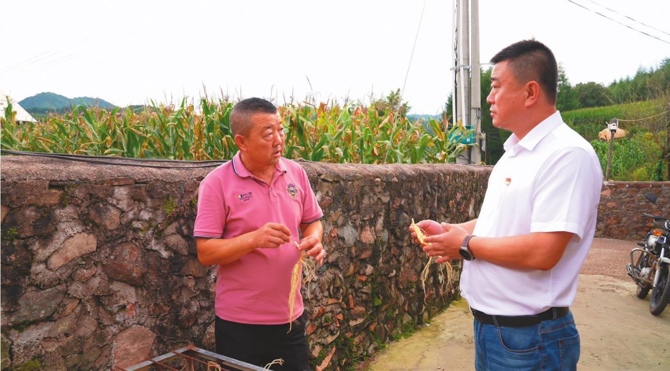 农行本溪分行工作人员进村入户与种植户交流。资料片