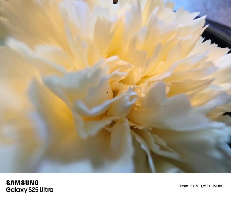 超广角微距样片