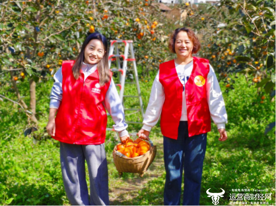 （湖北移动志愿者帮助村民采摘柿子）