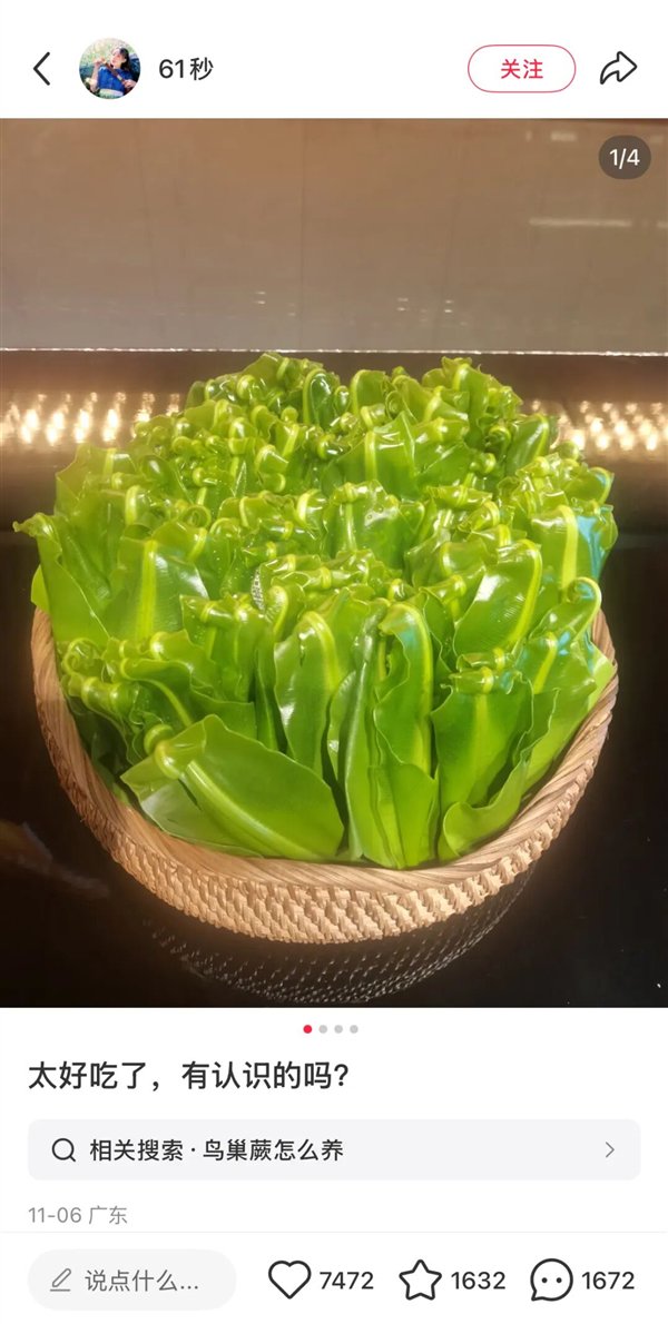 图片来源：小红书@61秒