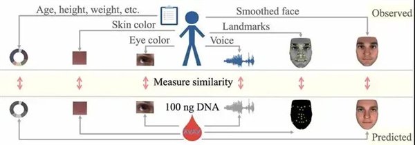图源：参考文献 [8]