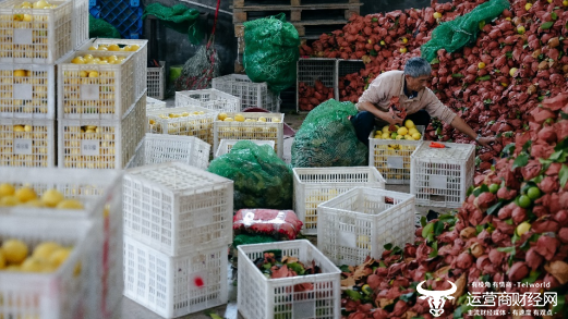 ▲三季度，“多多好特产”团队深入数十个农产区，助力农户丰产增收。（李靖 摄）