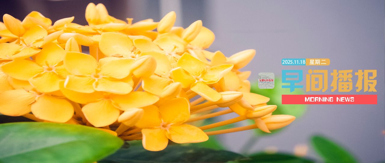 早间播报【2025年11月18日】