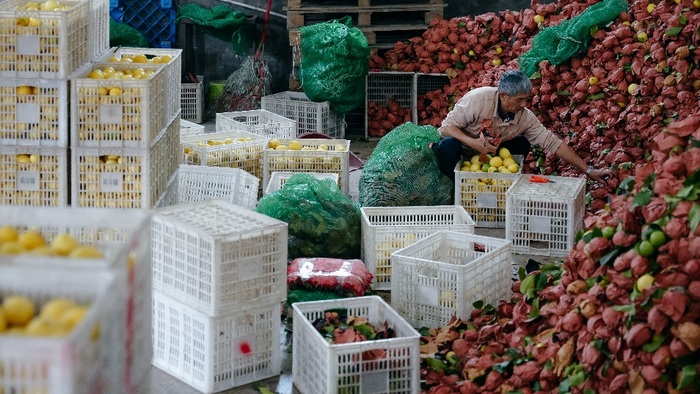 三季度，“多多好特产”团队深入数十个农产区，助力农户丰产增收。（李靖 摄）