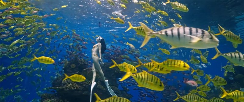 索尼FX3A优异高感光性能成像清晰，色彩还原