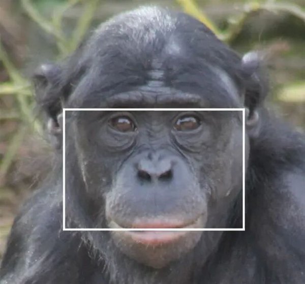 图源：参考文献 [4]