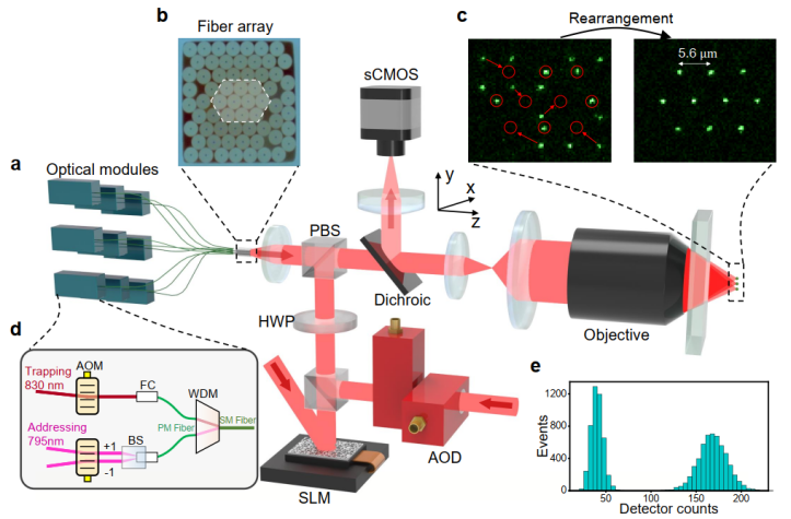 光纤阵列架构原子量子计算的基本原理和实验装置图