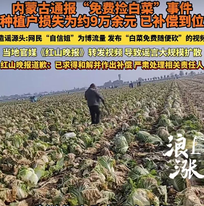 ▲赤峰通报网友发白菜免费视频为不实信息。图/青岛新闻网