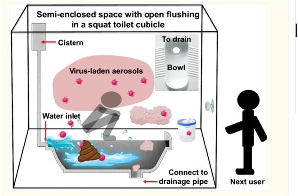 蹲坑的时候，人的口鼻更接近有病原体的气溶胶，图片来源：参考文献3