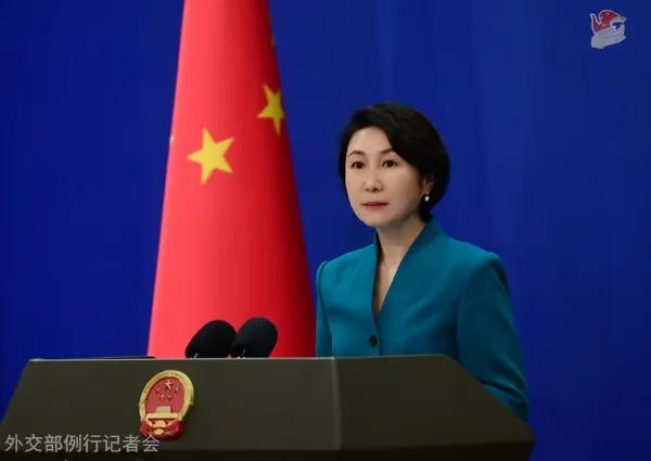 毛宁资料图。图源：外交部网站