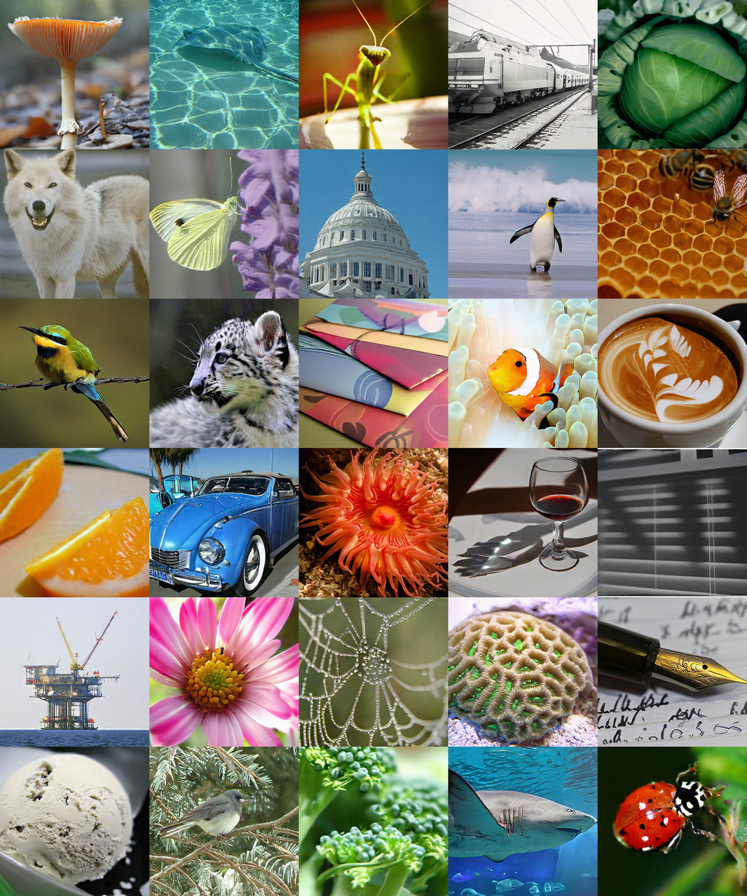 图 5：定性结果。使用 JiT-H/32 在 ImageNet 512×512 上生成的部分示例。