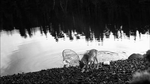 图片来源：KYLE ARTELLE