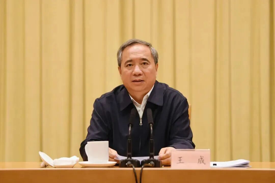 王成（资料图）