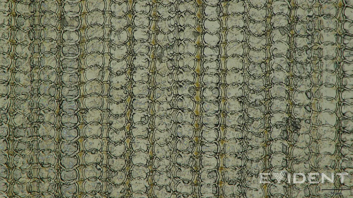 USB-C 接口表面特写