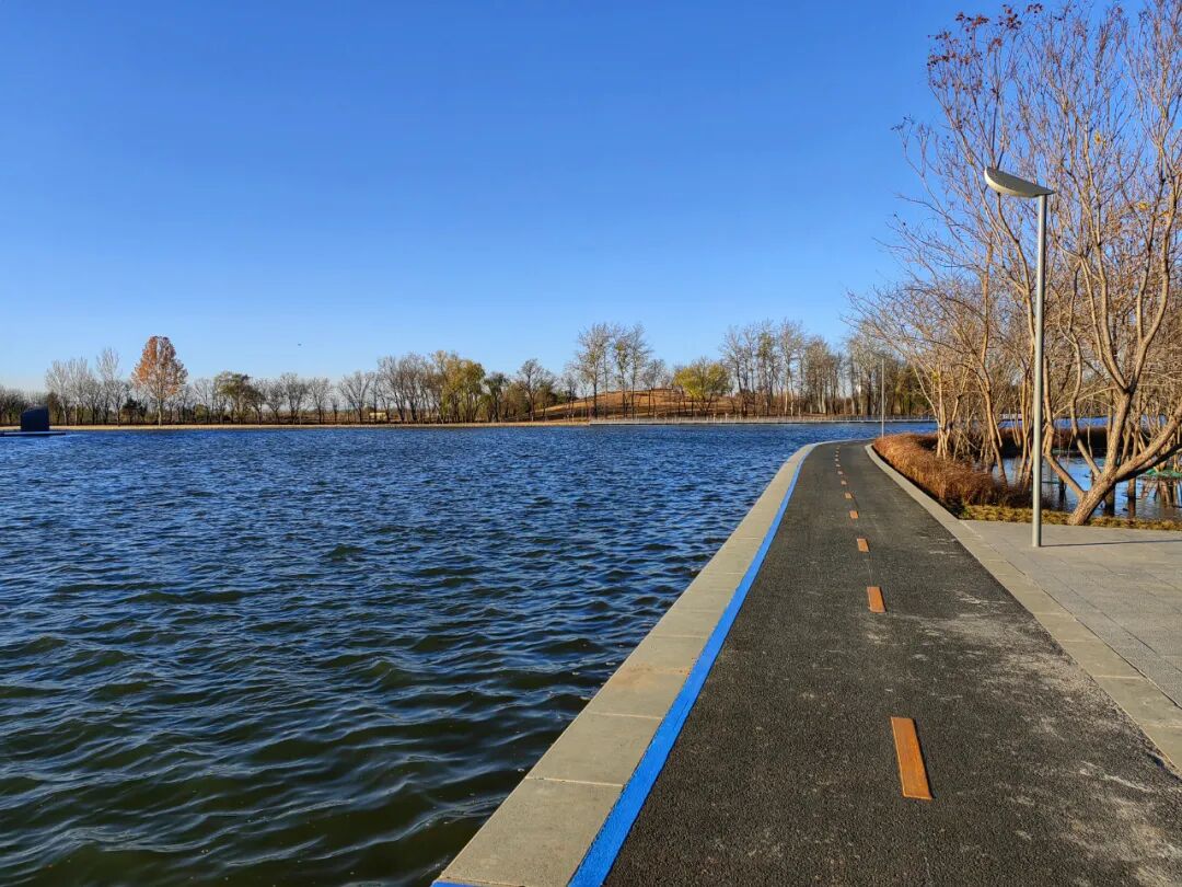 特朗普2.0对国际货币体系的影响及中国应对