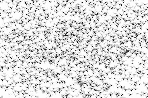 图片来源：PROTASOV AN