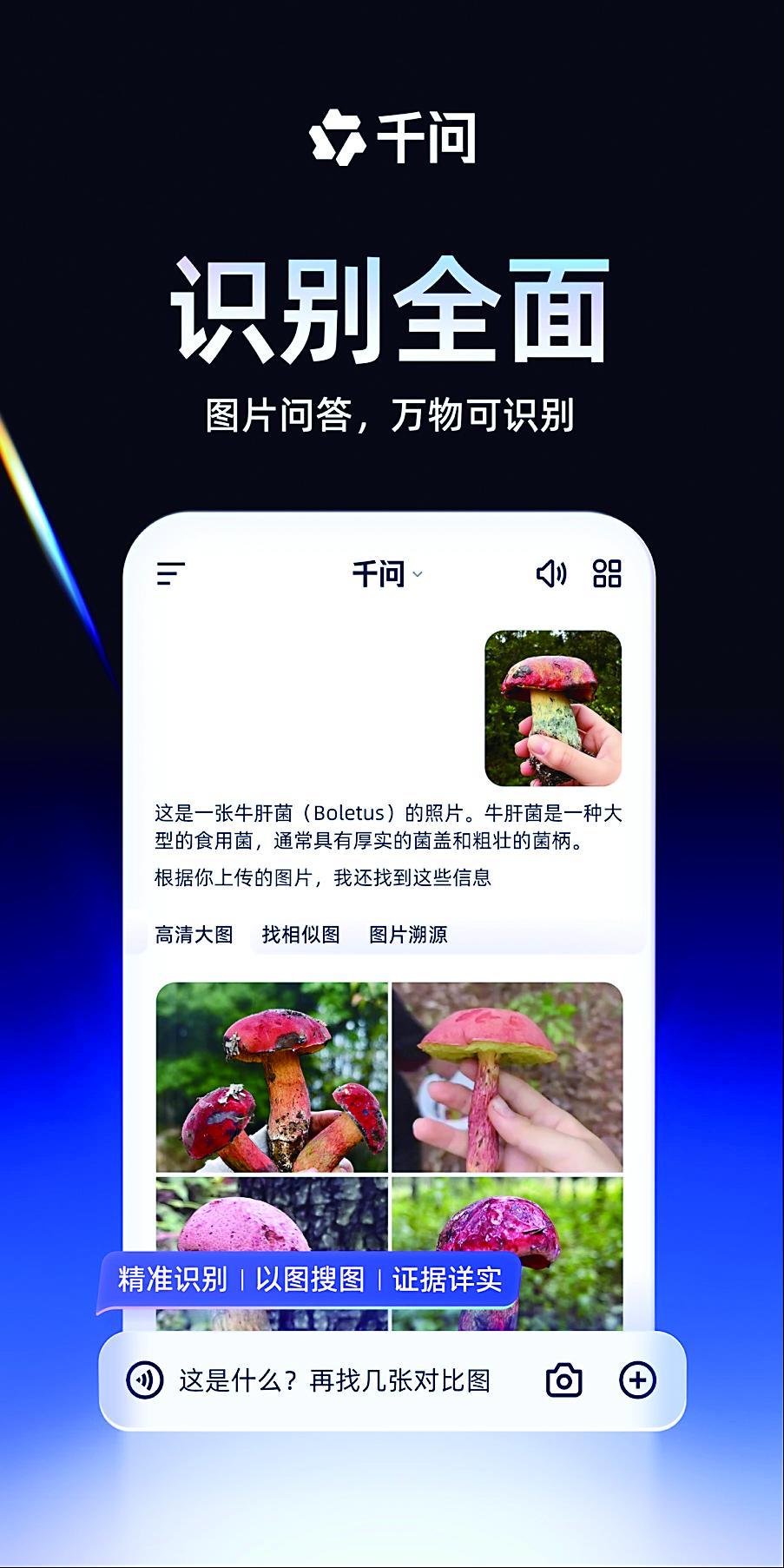 使用千问搜索识别图片内容