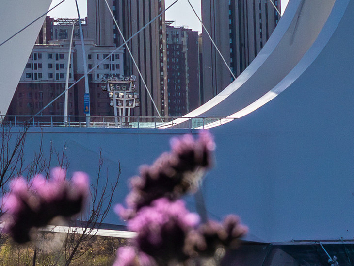 100%局部放大裁切