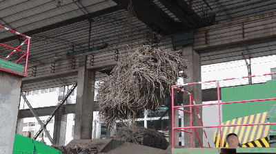 榨季糖厂内机声隆隆。（资料图）