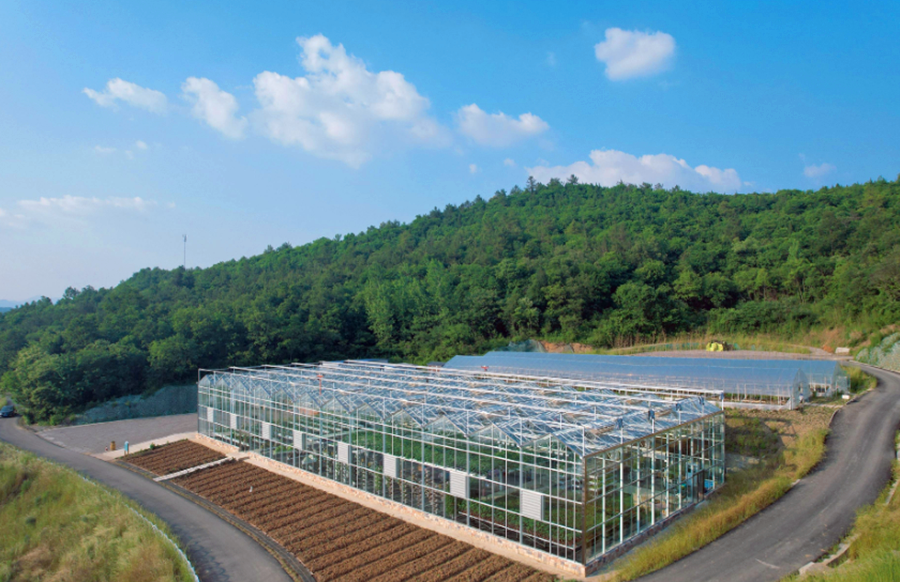 图为2025年4月18日拍摄的京山农场。