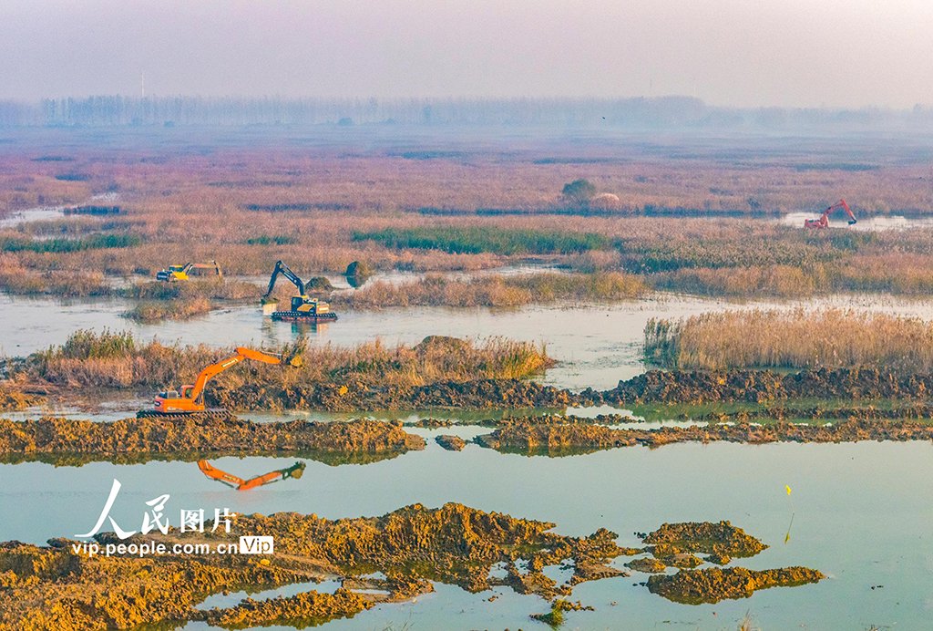 江苏泗洪：修复洪泽湖湿地|人民网_新浪财经_新浪网