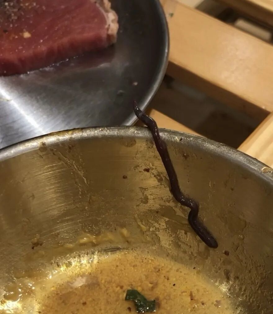 頭皮發(fā)麻！吃烤肉時(shí)從嘴里掉出一條10厘米長(cháng)深褐色活蟲(chóng)，餐廳回應：已與消費者談好補償方案