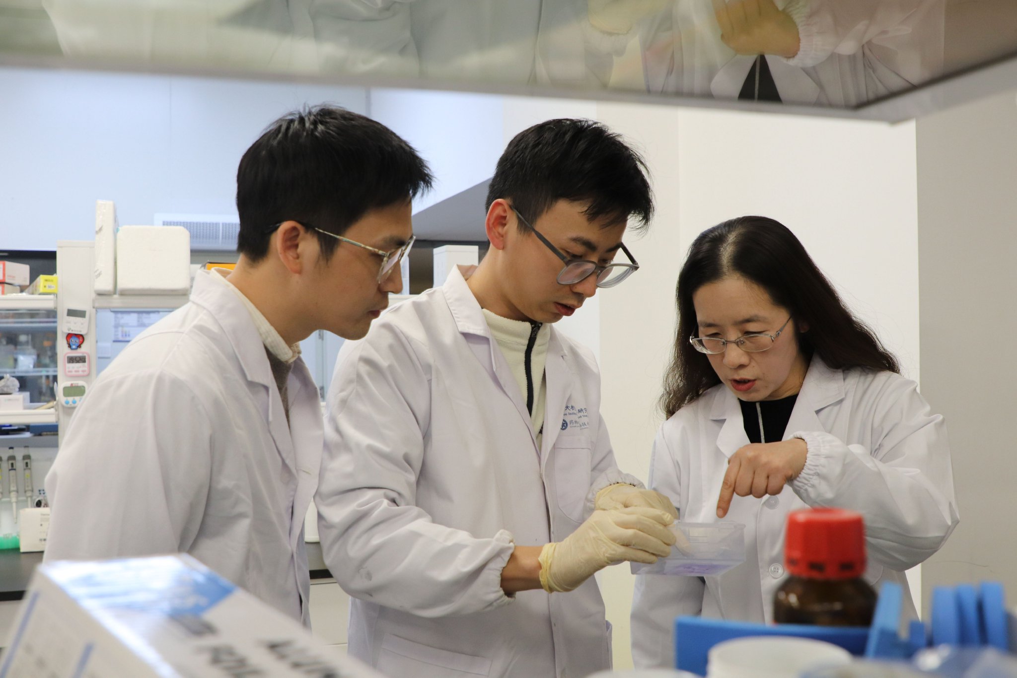 吴蓓丽研究团队