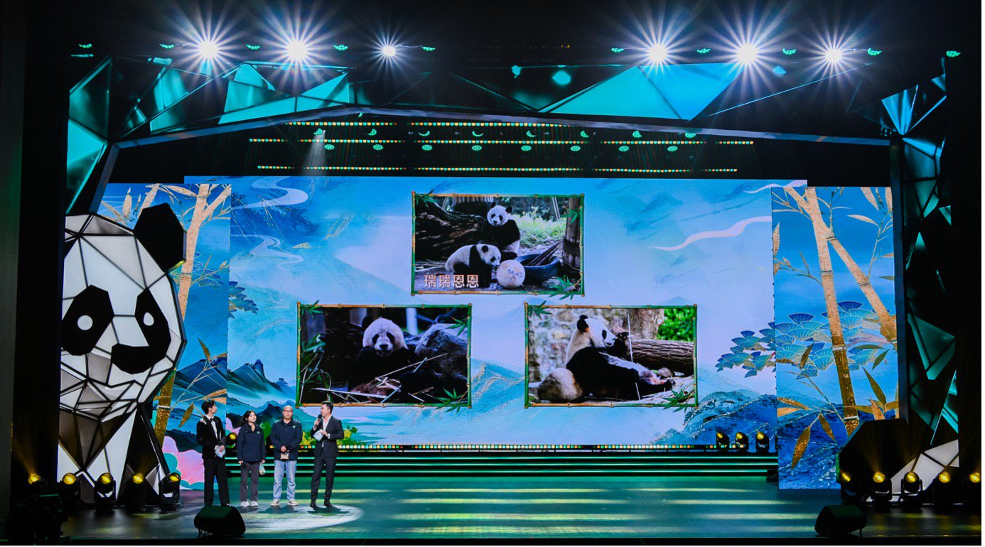 “国宝级守护”伴TA成长，蒙牛瑞哺恩亮相2025熊猫嘉年华