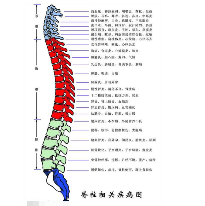 图源：兴趣岛某学习群