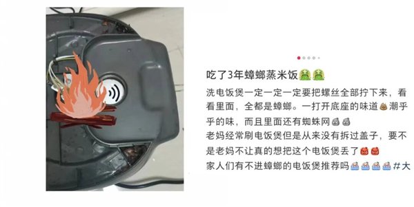 图片来源：小红书