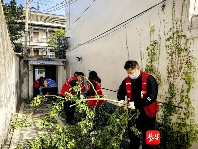 高效清除树枝断裂，构建宜居社区环境|安全隐患_新浪财经_新浪网