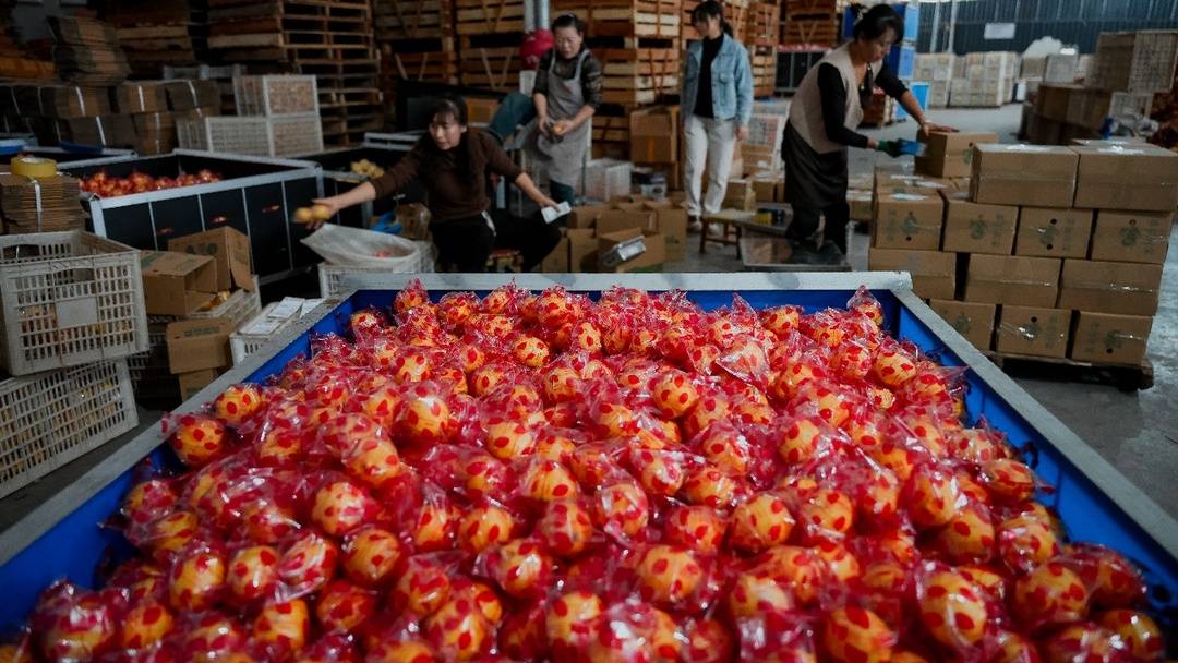 △柠檬在电商仓库分拣、打包、发货，带动周边村民就业。李靖 摄