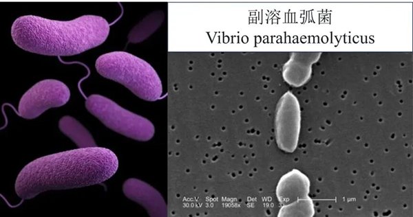 图片来源于网络