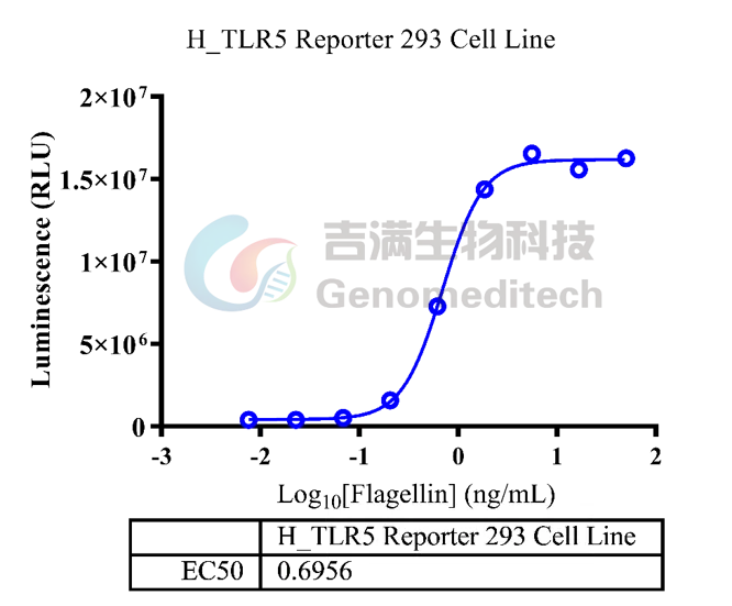 line在电脑上怎么注册 line电脑版怎么使用