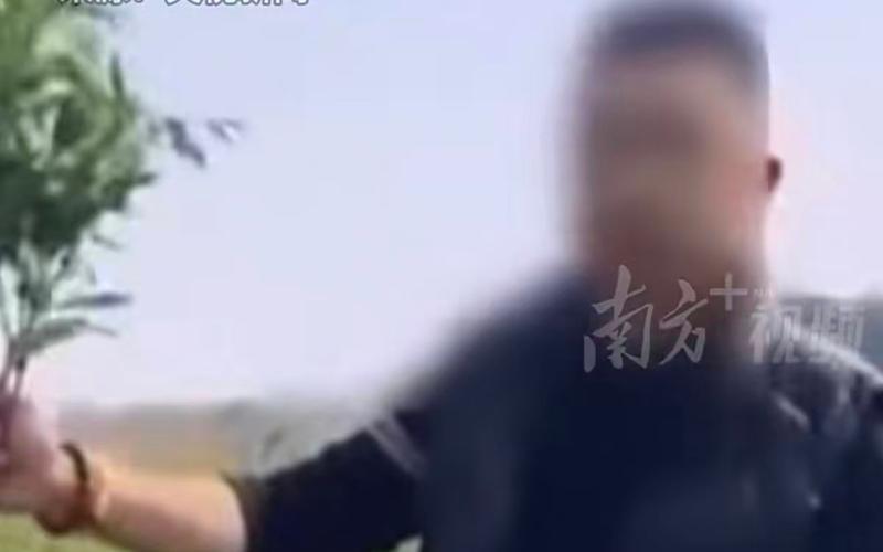 ▲周某某散布“免费摘辣椒”谣言，被公安机关依法予以行政处罚。图/南方日报