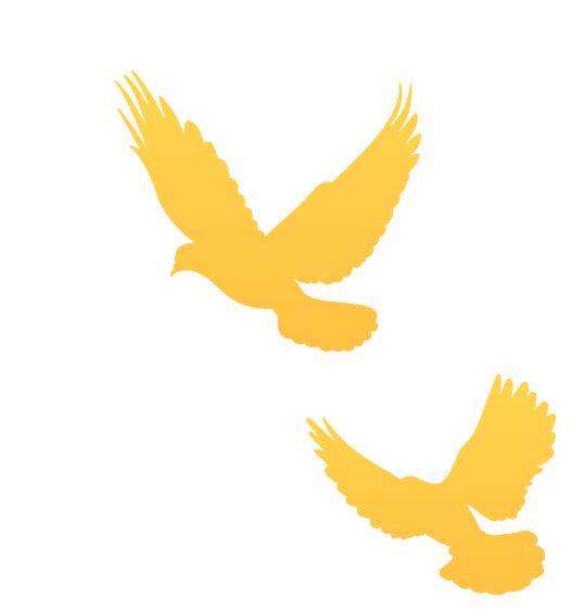 编审：张聪聪排版：阿娜尔来源：“北京发布”微信公众号北京日报客户端“北京经信”微信公众号