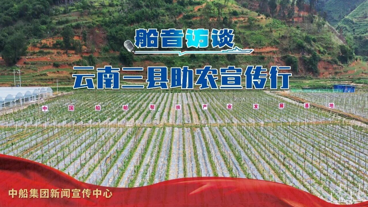 船音访谈|云南三县助农宣传行|云南省_新浪财经_新浪网