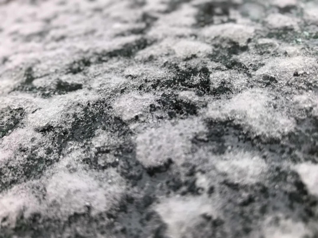 东北降雪天气防范