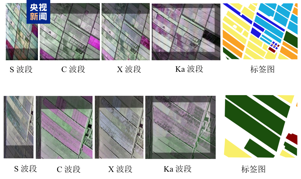 ▲ 多波段全极化机载 SAR 农作物精细分类数据集