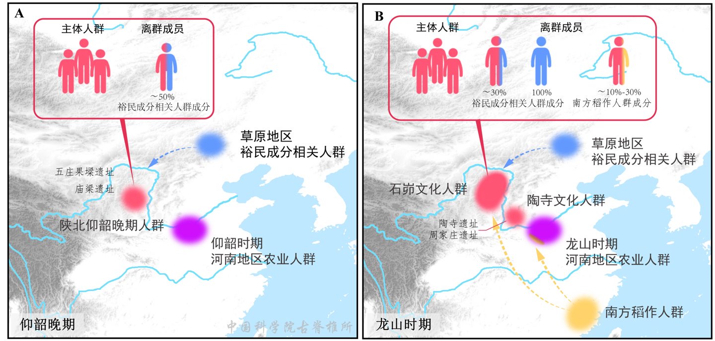 ▲ 石峁文化主体人群及离群个体的遗传结构示意图