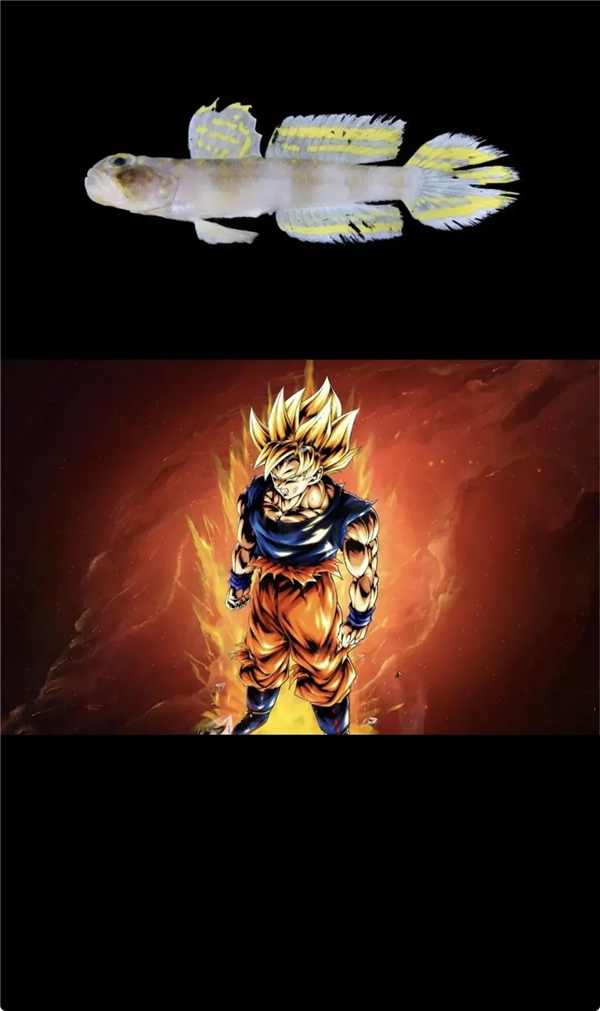 责任编辑：随心