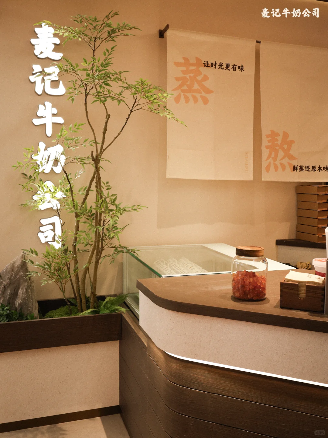 专访麦记牛奶公司：不到一年开600+店，单店最高日收5万元