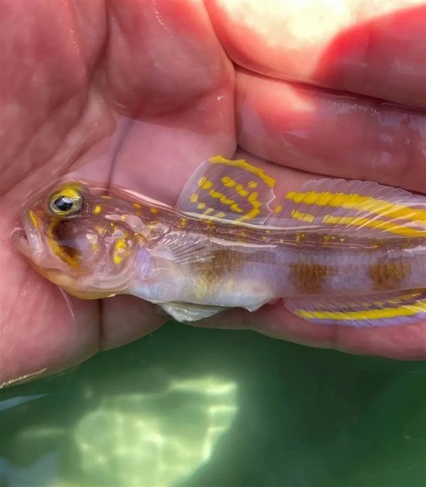 责任编辑：随心