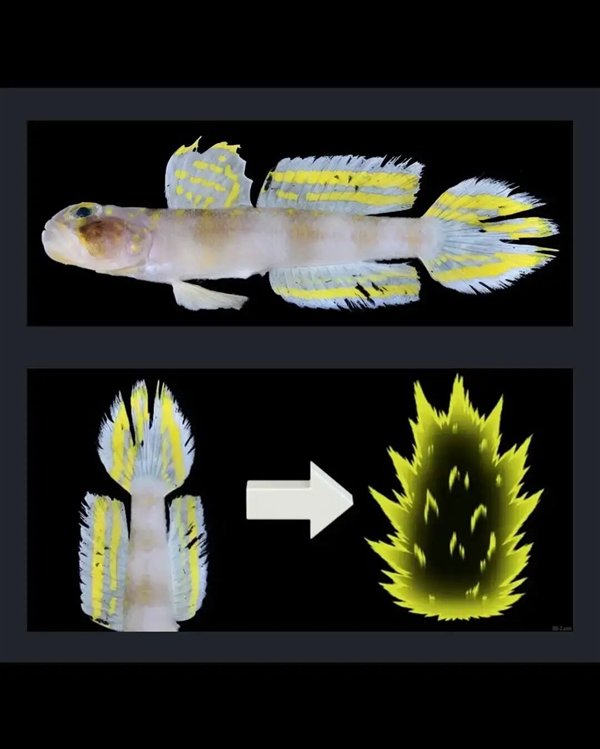 责任编辑：随心