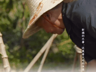 图片来源：麦记牛奶小程序